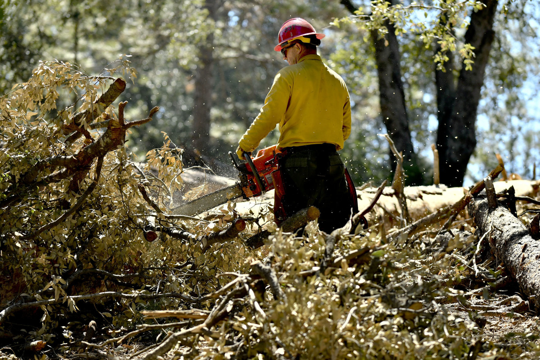 032818 Prescribed burn 12.jpg